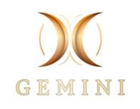 Gemini電子平台